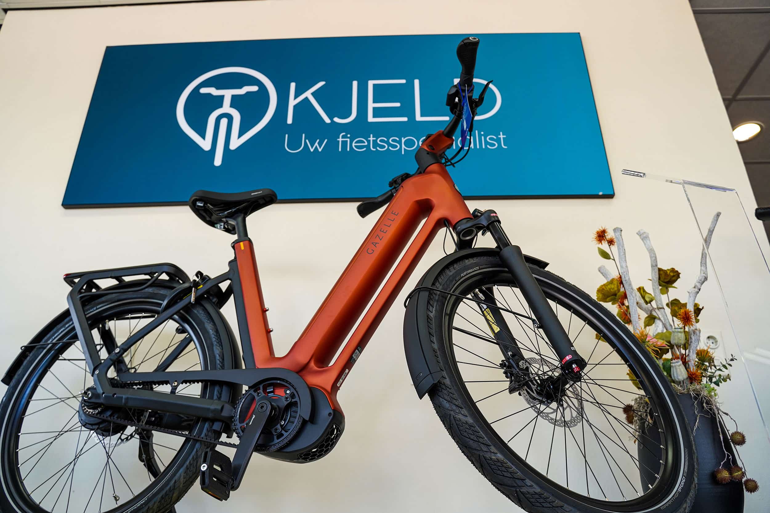 e-bike reparatie en onderhoud in Gaanderen